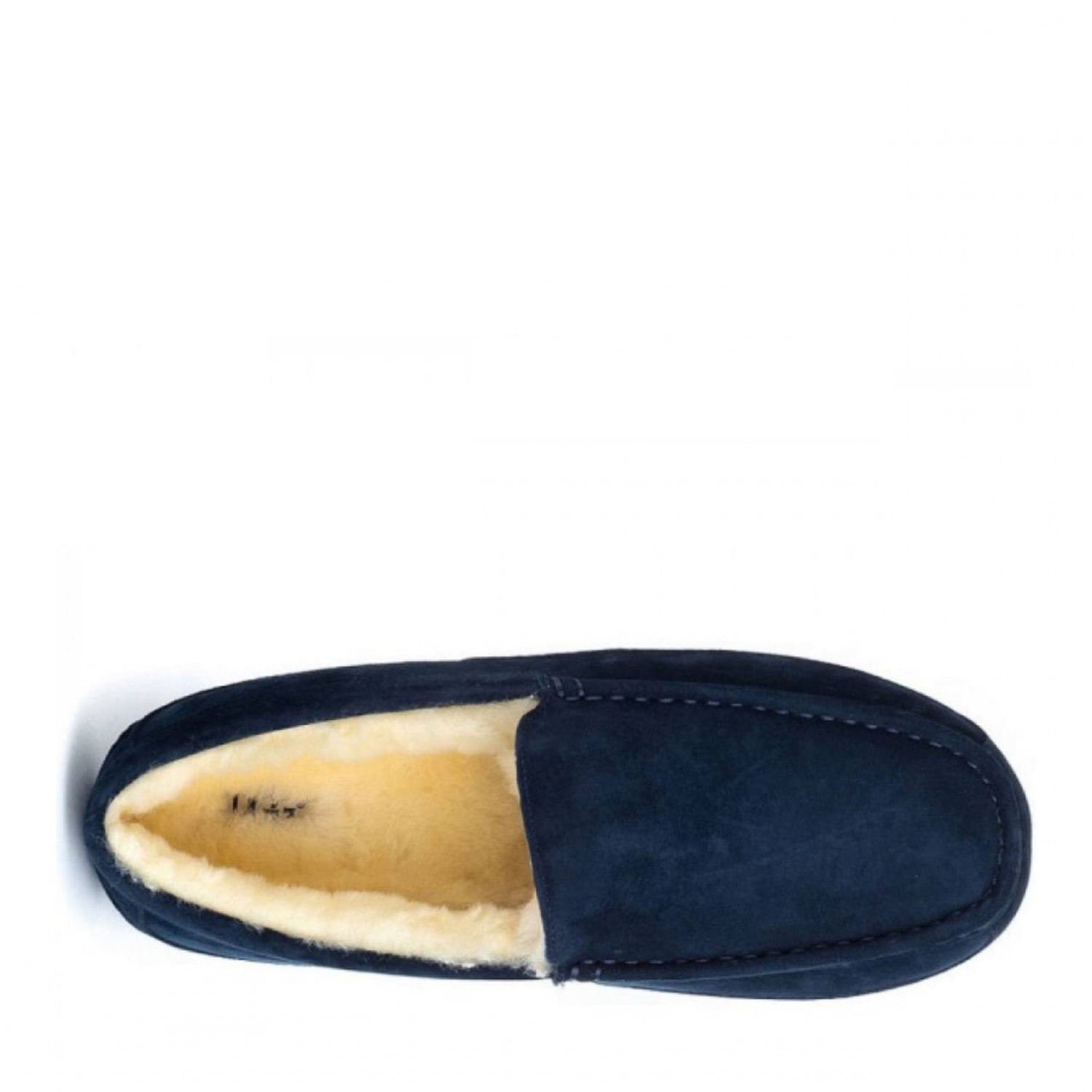 UGG Mens Ascot Navy 