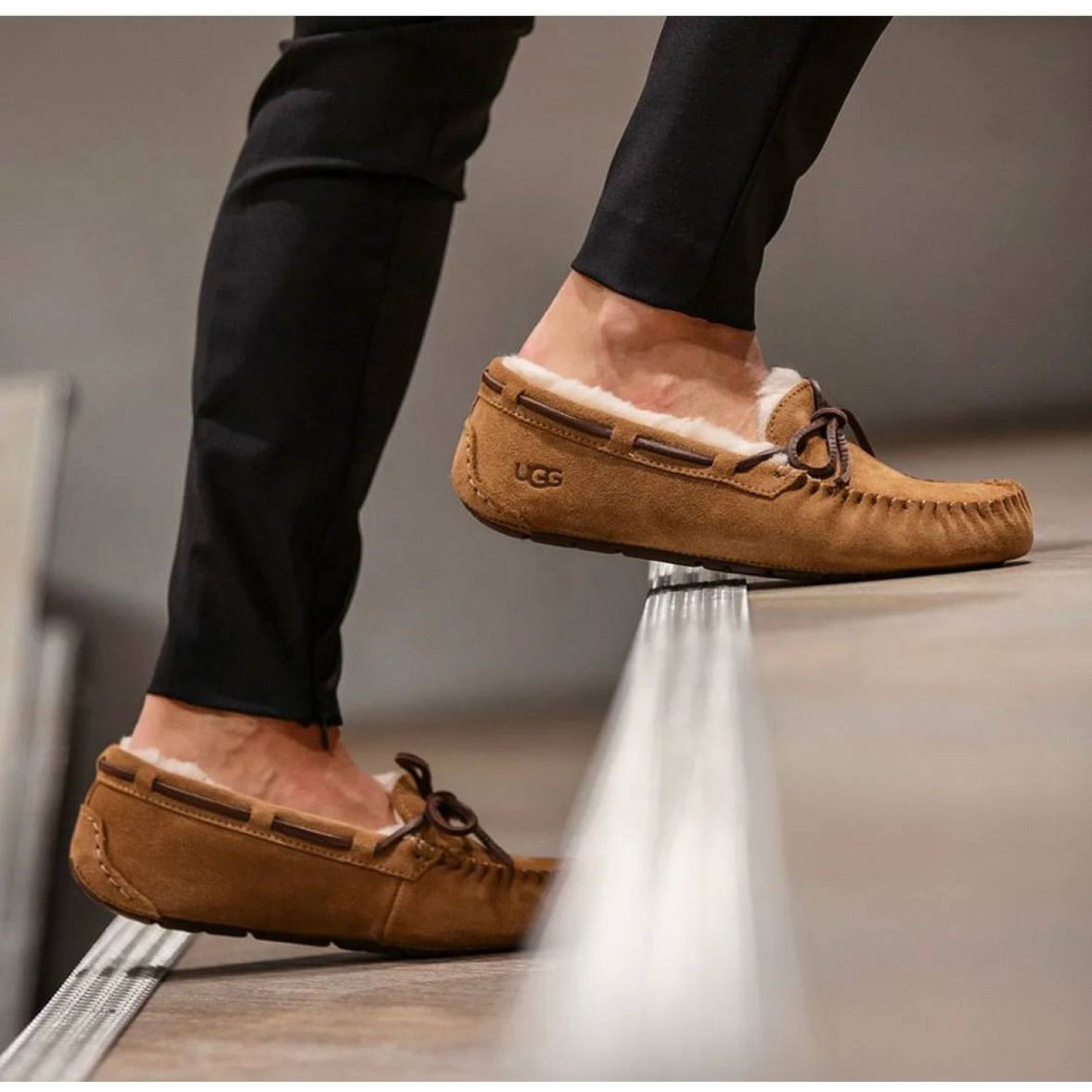 UGG Dakota Chestnut